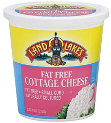 Land O Lakes Small Curd Fat Free Cottage Cheese 22 Oz