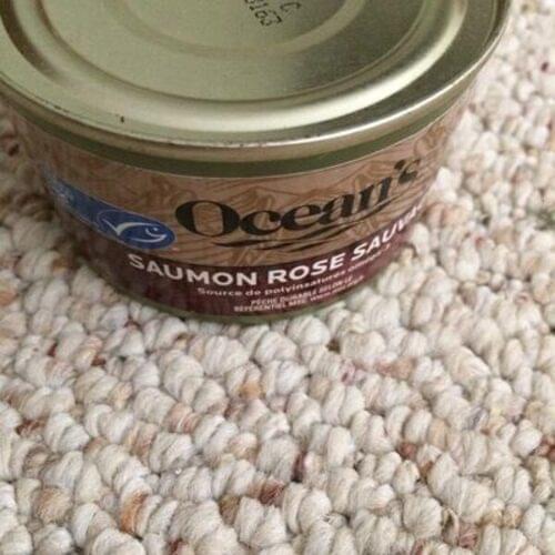 Ocean's Wild Pink Salmon 55 g, Nutrition Information Innit