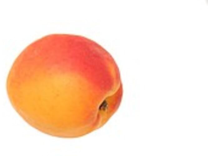 USDA Apricots - 1