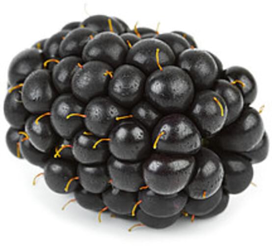 USDA Blackberries - 1 c
