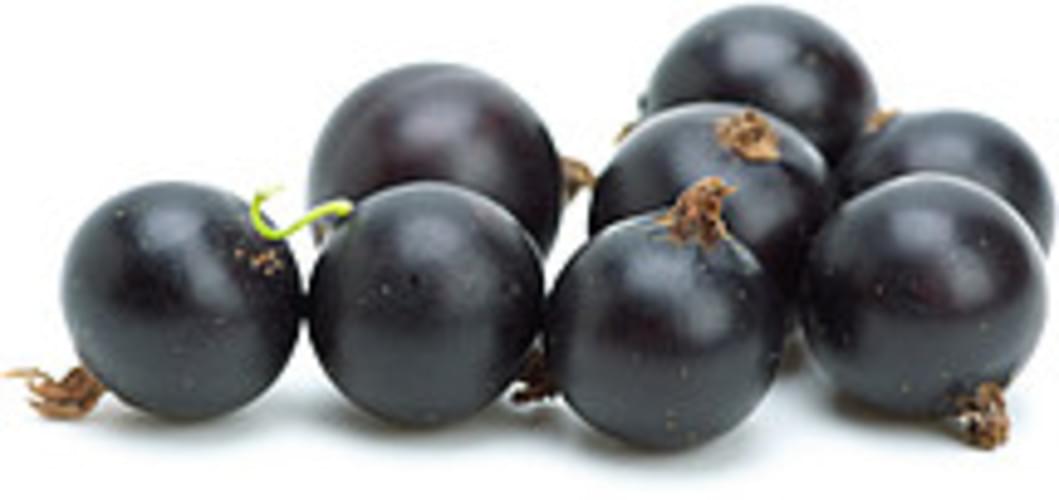 USDA european black Currants - 1 c