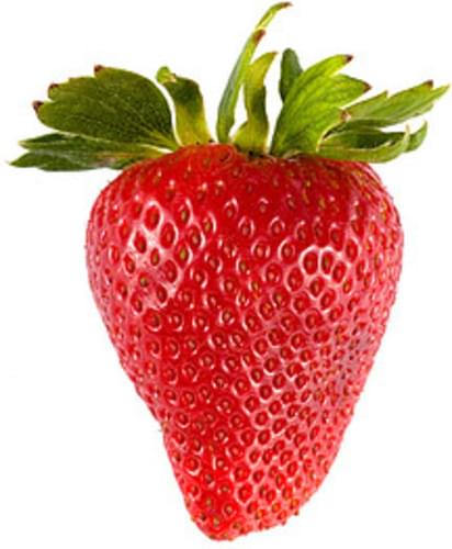 USDA Strawberries - 1