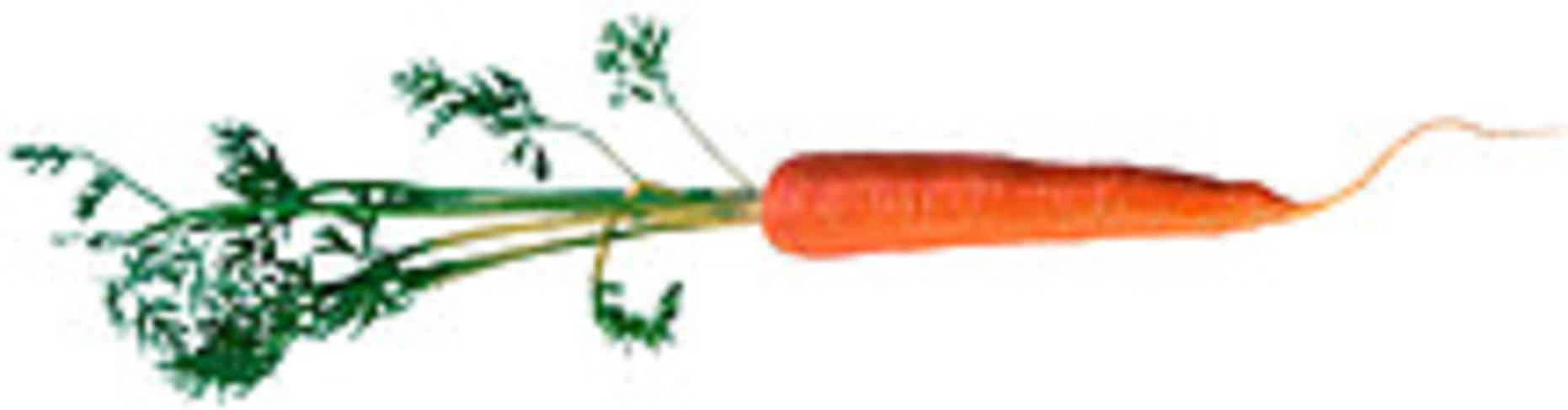 USDA Carrots - 1