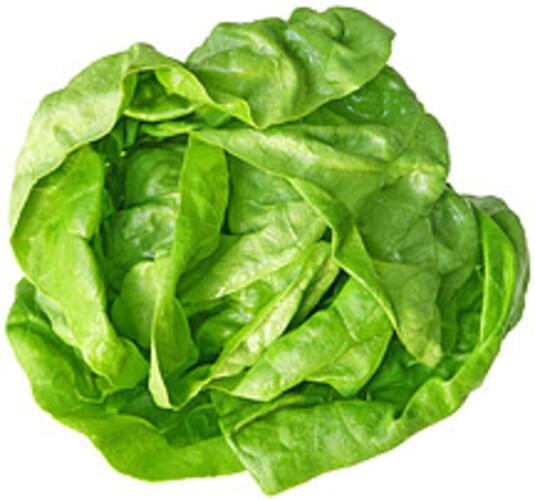 USDA butterhead (includes boston and bibb types) Lettuce 1, Nutrition