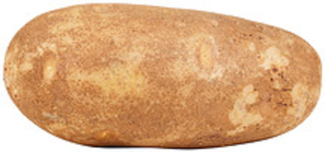 USDA russet flesh and skin Potatoes - 0.5