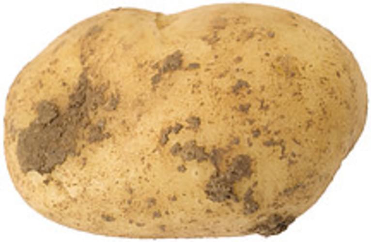 USDA white flesh and skin Potatoes - 0.5