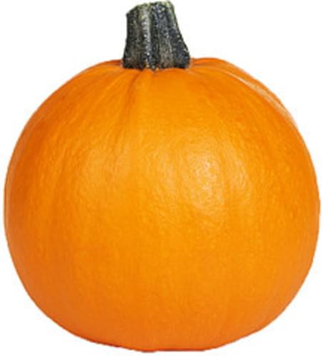 USDA Pumpkin - 1 c