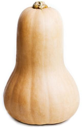 USDA winter butternut Squash - 1 c