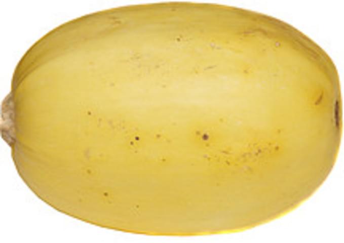 USDA winter spaghetti Squash - 1 c