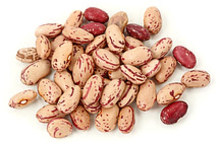 USDA cranberry (roman) mature seeds Beans 1 c, Nutrition Information