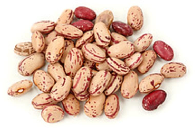 USDA cranberry (roman) mature seeds Beans - 1 c