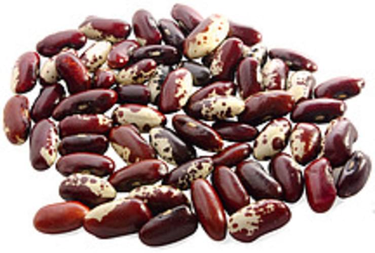 USDA kidney all types mature seeds Beans - 1 c