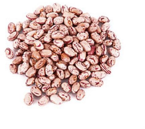 USDA pinto mature seeds Beans - 1 c