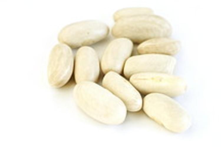 USDA white mature seeds Beans - 1 c