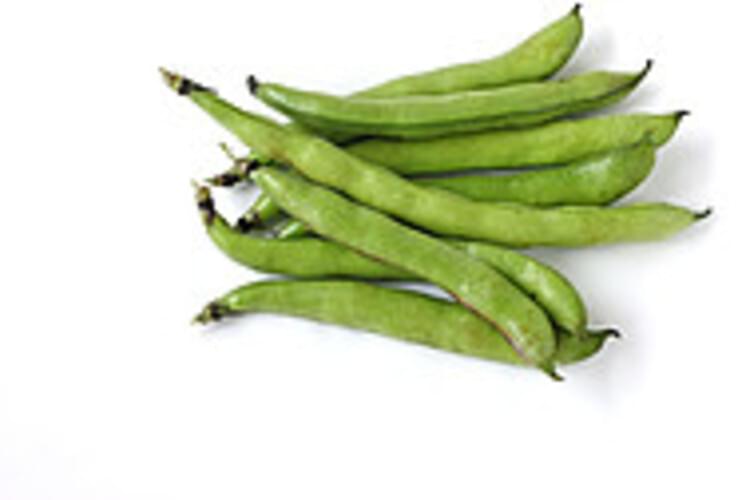 usda-mature-seeds-broadbeans-fava-beans-1-c-nutrition-information-innit