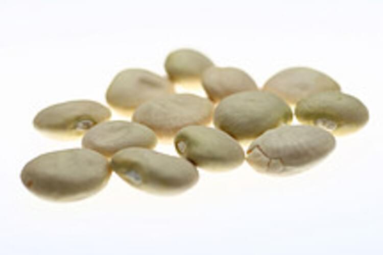 USDA large mature seeds Lima beans 1 c, Nutrition Information Innit