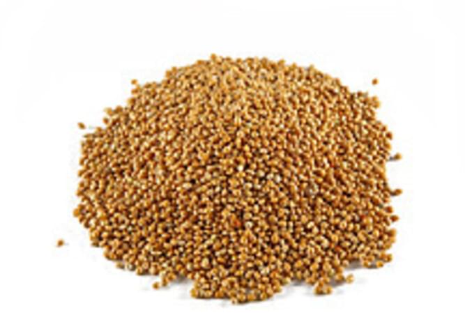 USDA Millet - 1 c