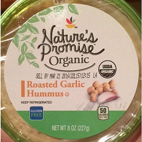 Nature's Promise Organic Roasted Garlic Hummus - 28 g
