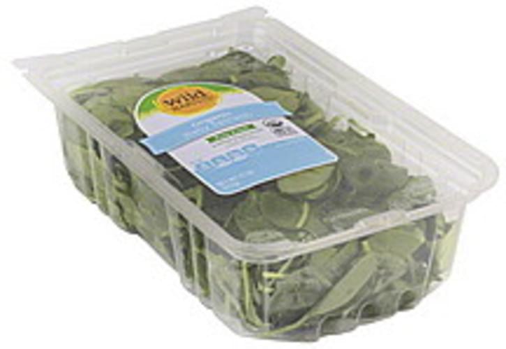 Wild Harvest Baby, Organic Spinach - 11 oz
