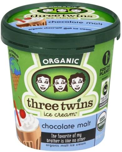 Three Twins Chocolate Malt Ice Cream - 1 pt