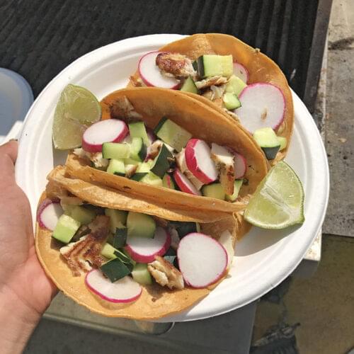 Grilled Tilapia Tacos with Cucumber Salsa Central Market Really